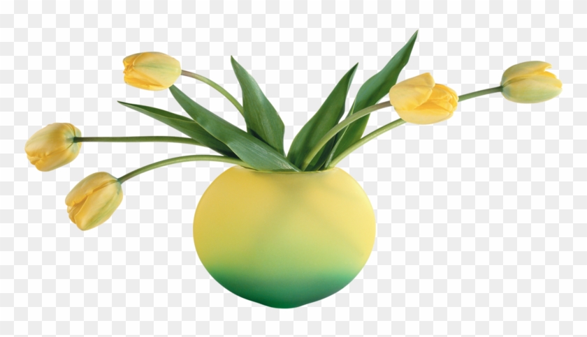 Vase Flower Portable Network Graphics Clip Art Tulip - Подснежники #1207867