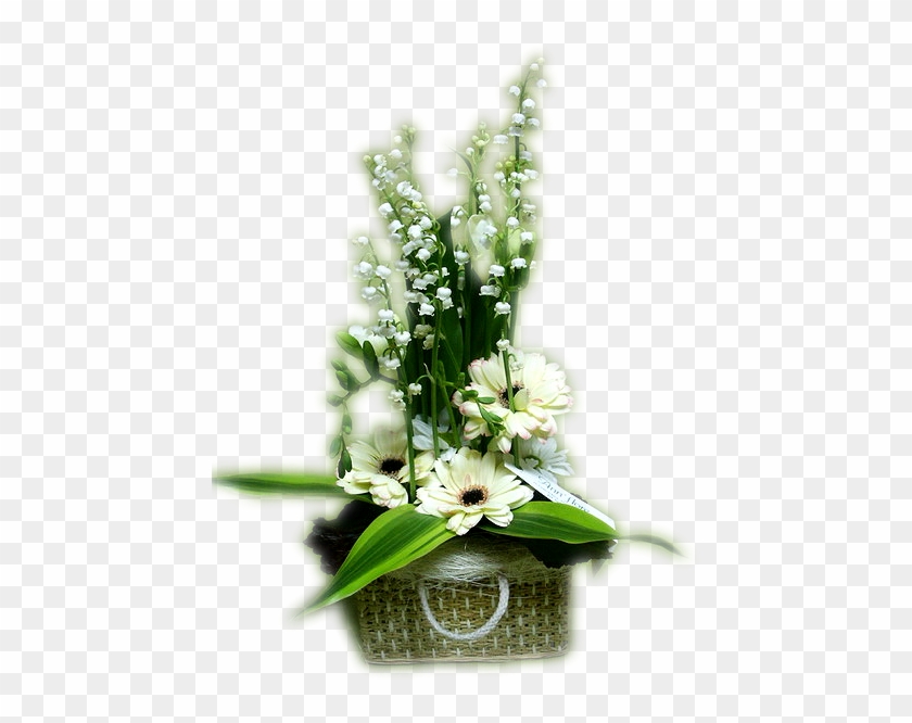 Portable Network Graphics Flower Lily Of The Valley - Te Souhaite Tout Le Bonheur #1207876