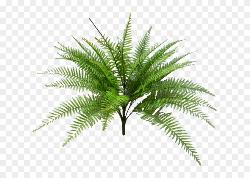 51cm Fern Bush W/34lvs - Fan Palm Leaf #1207883