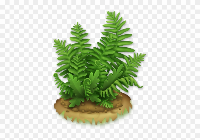 Lush Fern - Fern Png #1207885