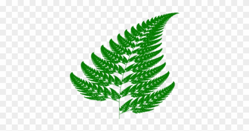 Fern - Fractal Geometry In Nature #1207889