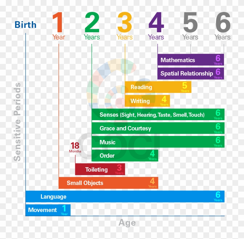 The Word Mathematics Download - Montessori Sensitive Periods Chart #1207935