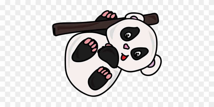 Cartoon, Zoo, Panda, Cute, White, Black - Gambar Kartun Panda Lucu #1208668