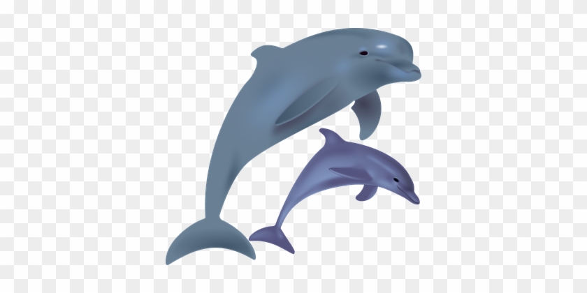 Dolphines Clipart Ocean Life - Two Dolphins Clipart #1208752