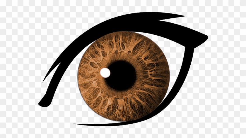 A Grande Maioria Da População Mundial Têm Olhos Escuros, - Eye Png Transparent Background #1208765