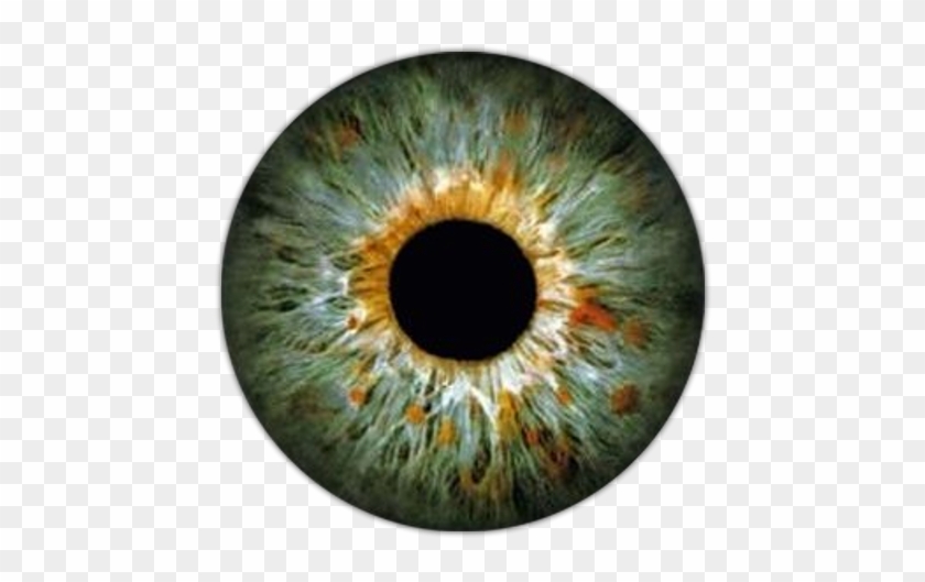 Eye Lens For Picsart - Free Transparent PNG Clipart Images Download
