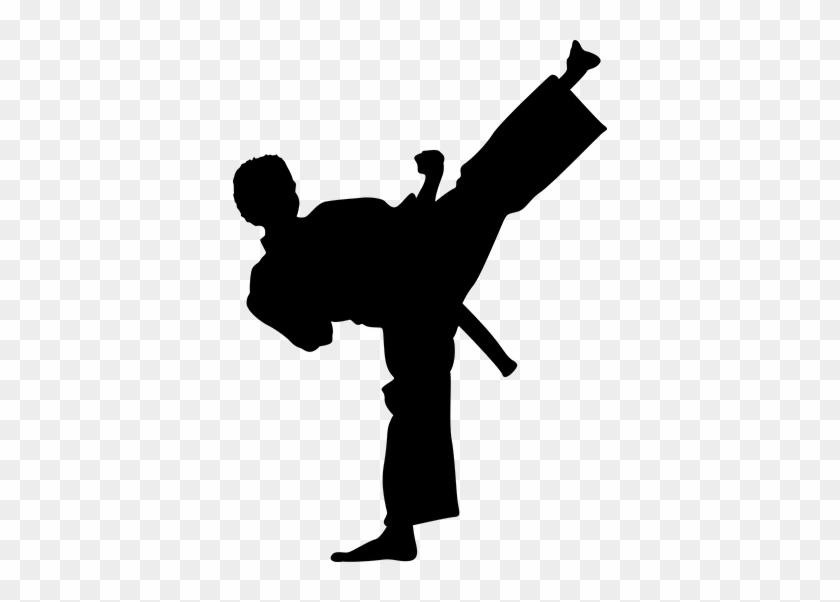 Wall Color - Martial Arts Kick Silhouette #1209137