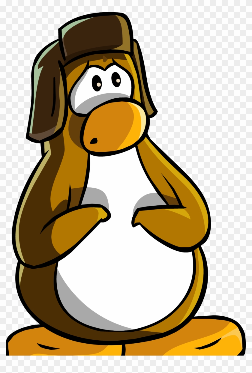 Gym Ball Clipart Club Penguin - Penguin #1209307