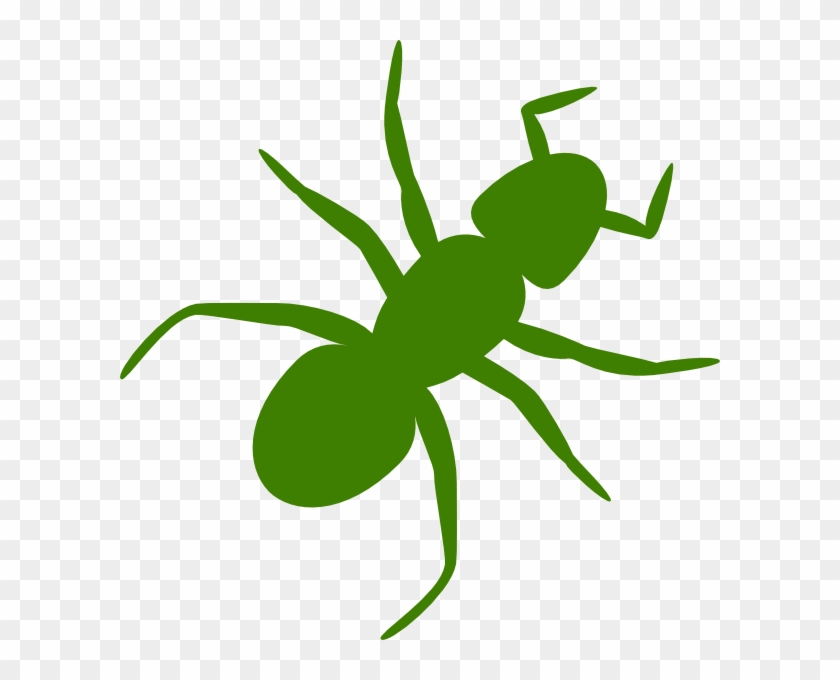 Ant Clip Art #1209629