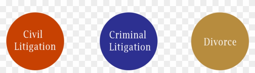 Civil Litigation , Criminal Ligitation, Divorce,fidel - Civil Law #1209646