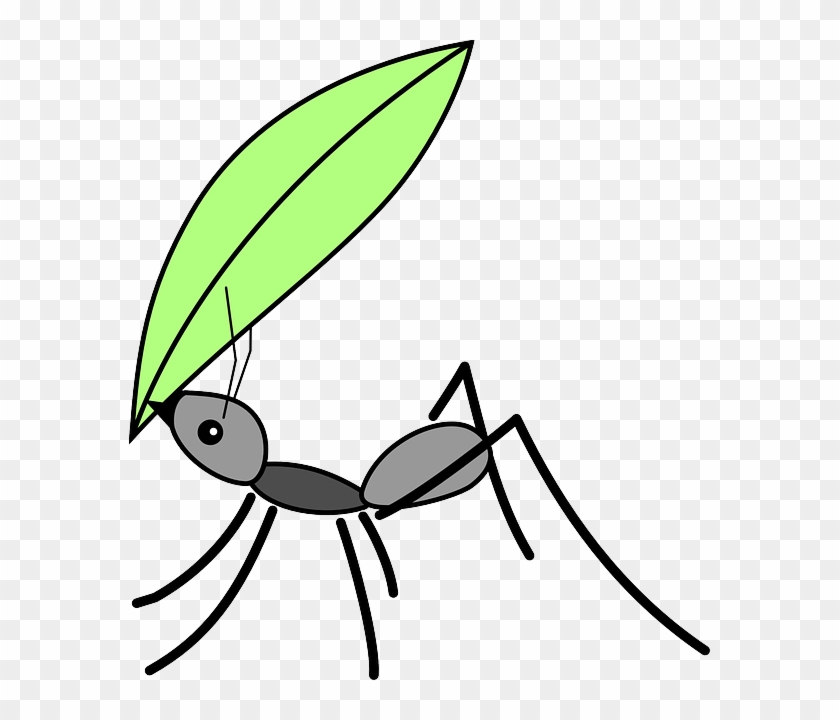 Drawn Ant Langgam - Ant Carrying A Leaf #1209651