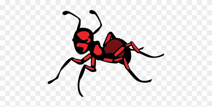Ants - Pest Control #1209662