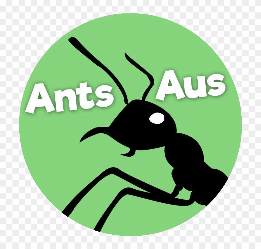 Ants Clip Art #1209729
