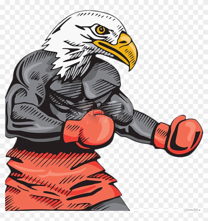 Bald Eagle Boxing Hawk Illustration - Boxing Eagle #1209835