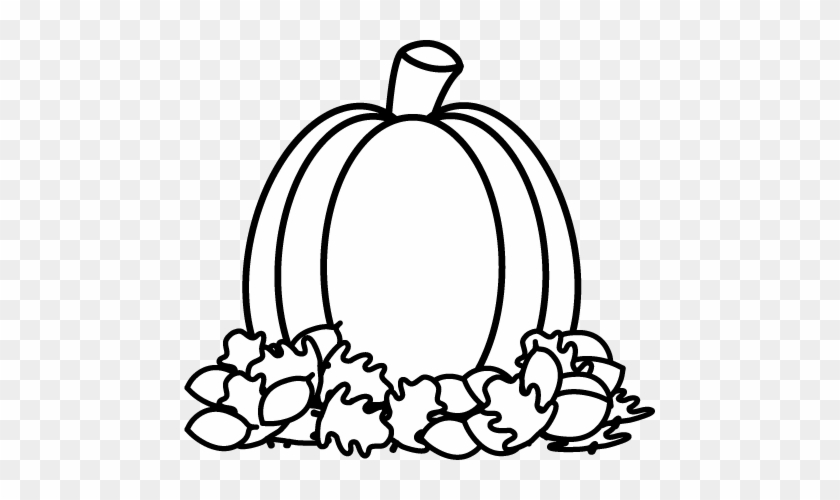Pumpkin Black And White Black - Pumpkin Black And White Black #1210059