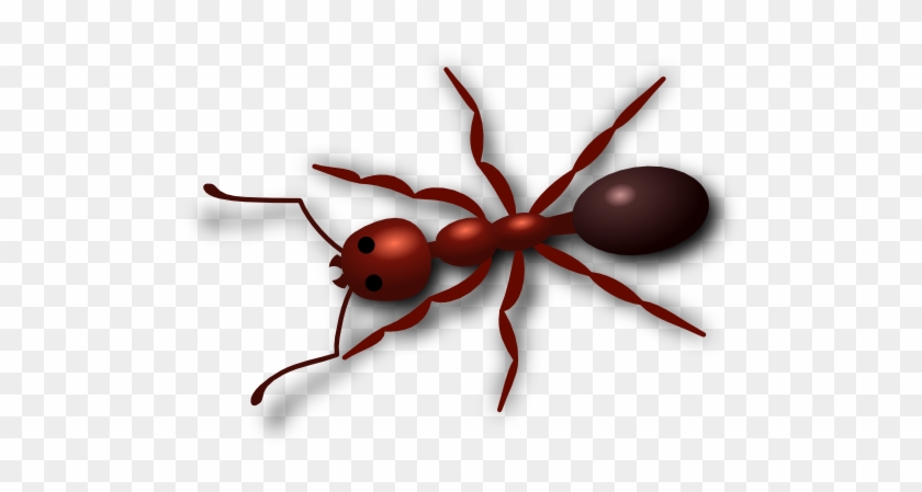 Red Ant Clip Art #1210234