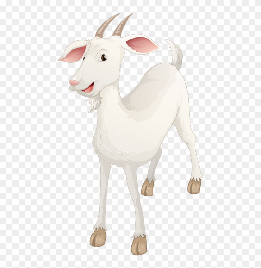 Sheep Goat Illustration - Goat #1210258