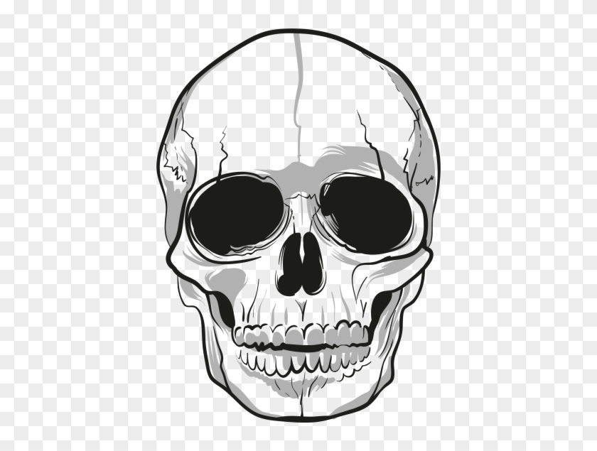 Skeleton Head Hd Image Png Images - Png Transparent Skull Png #1210312