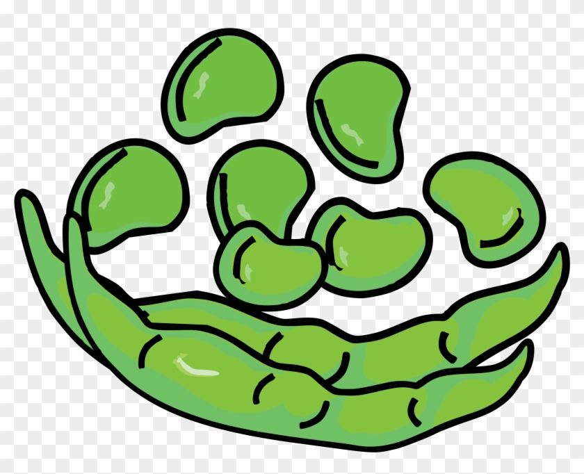 Clipart Of Bean, Broad And Transparent - Clipart Of Bean, Broad And Transparent #1210338