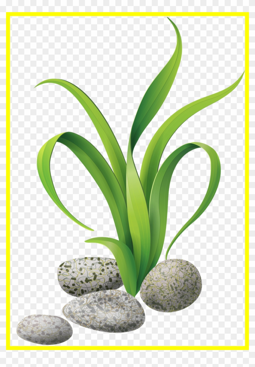 Coconut Tree Coconut Tree Clipart Png The Best Algae - Slippery Fish Song #1210434