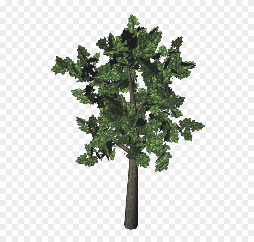 Post Oak Tree Leaves Download - Fiddle Leaf Fig Tree Fake #1210452