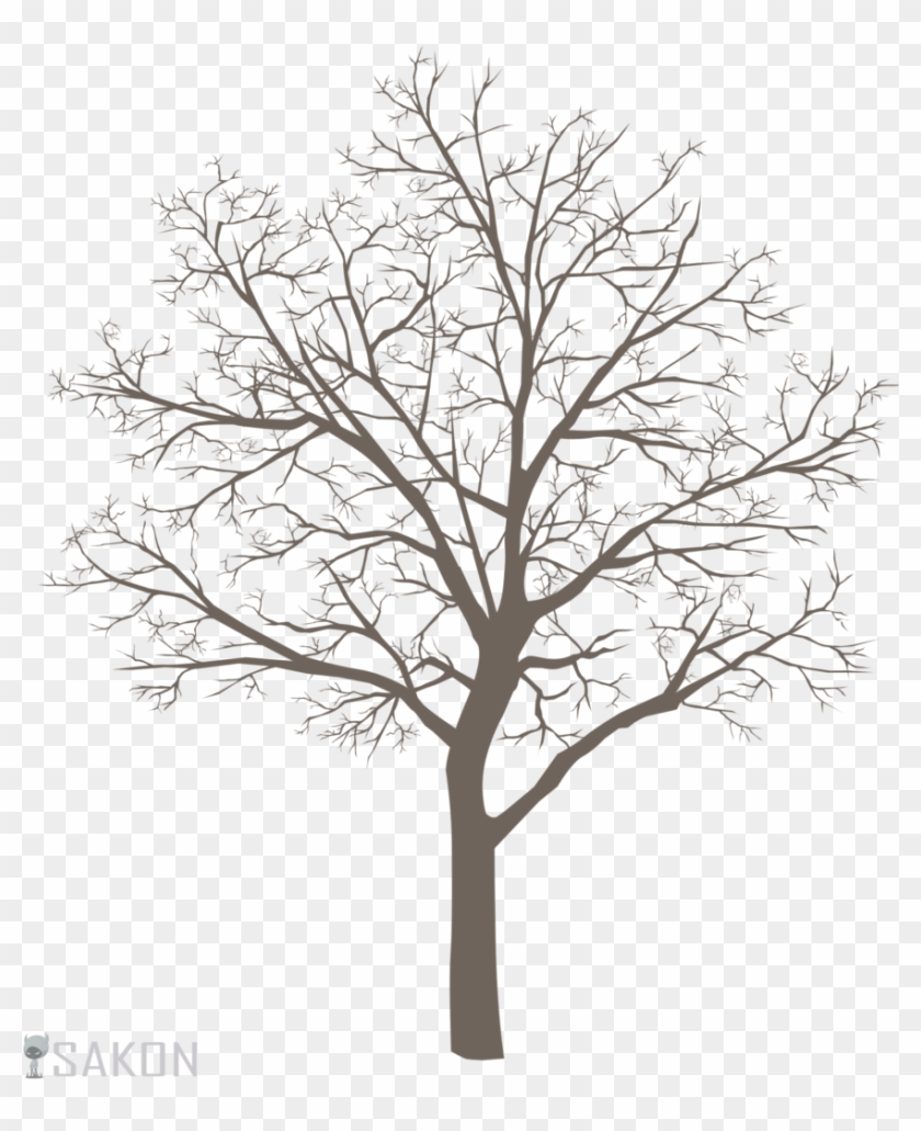 Basic Tree Meme Png By Sakon04 - Oak #1210577