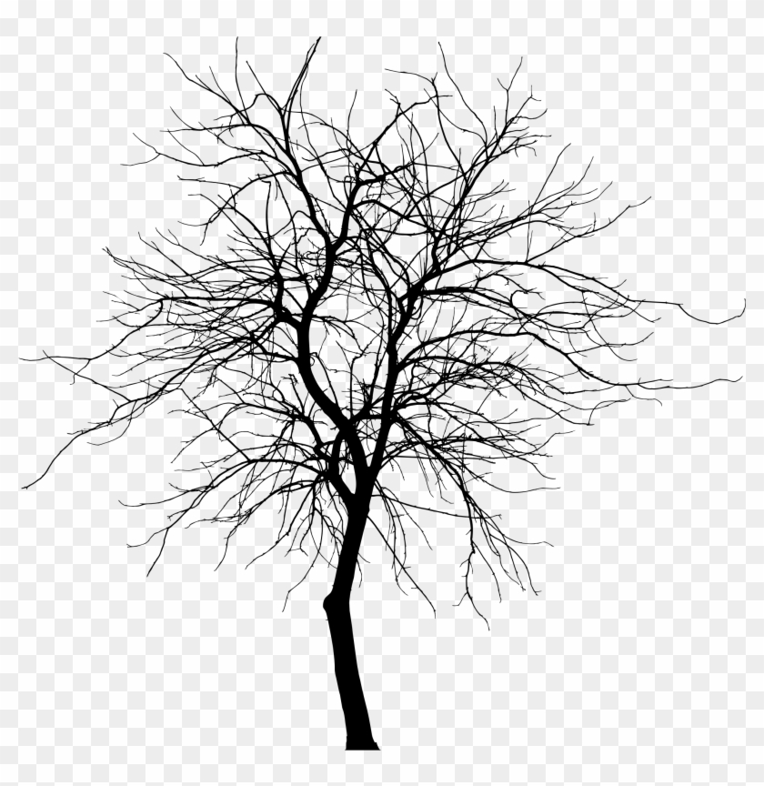 This Free Icons Png Design Of Skinny Tree Silhouette - Clip Art #1210579