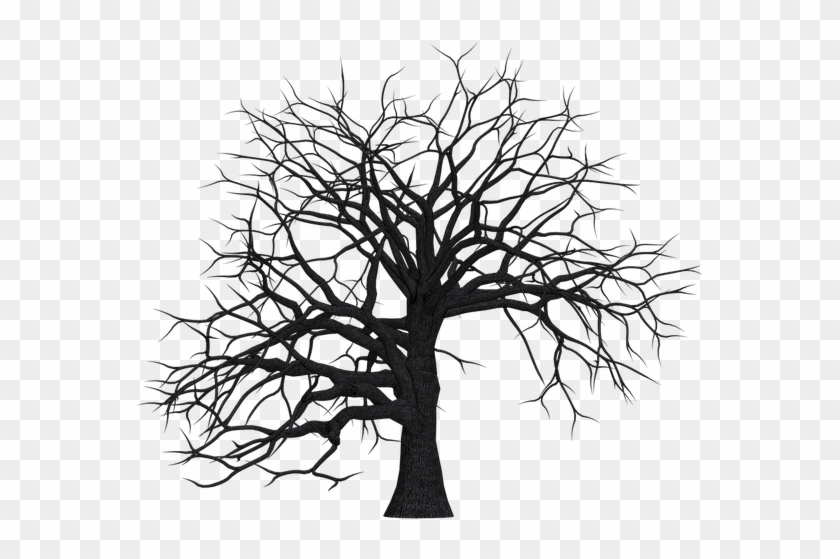 Tree, Digital Art, Isolated, Without Leaves, Leafless - Leafless Tree Silhouette #1210583