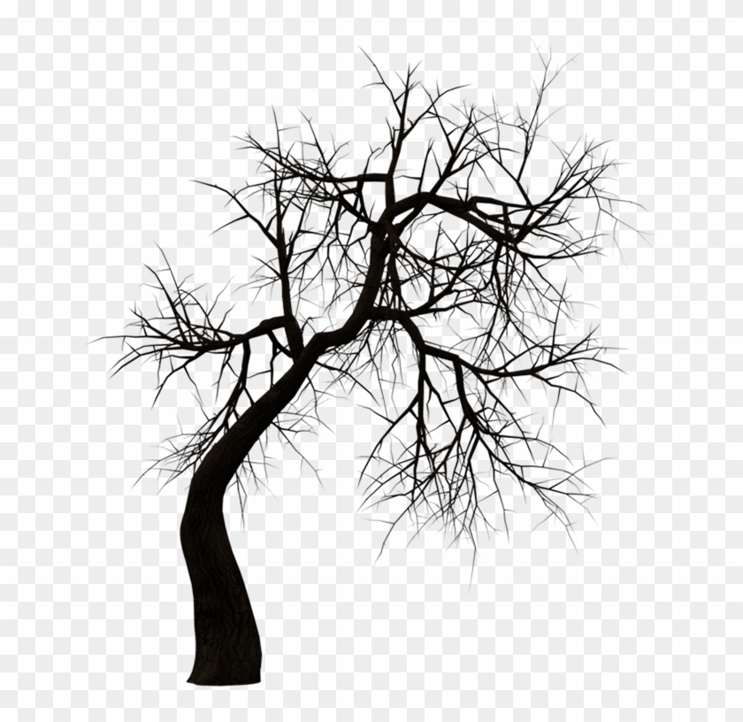 Kuntilanak Terbang Tree Clip Art - Horror Png #1210591