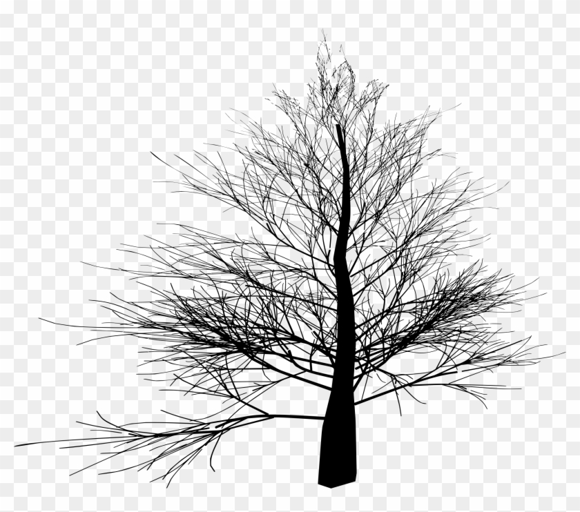This Free Icons Png Design Of Thin Branched Tree Silhouette - Branch #1210603