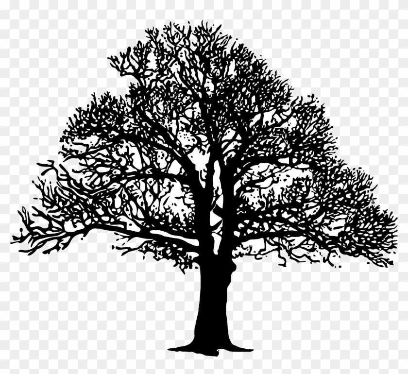 This Free Icons Png Design Of Tree3 B&w - B And W Tree #1210621