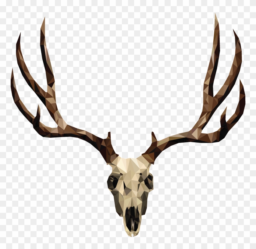 Mule Deer Skull Drawing #1210625