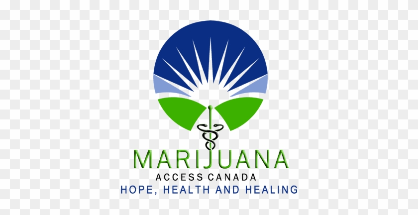 Looking To See If You Qualify For Medical Marijuana - Png Medical Marijuana Help #1210643