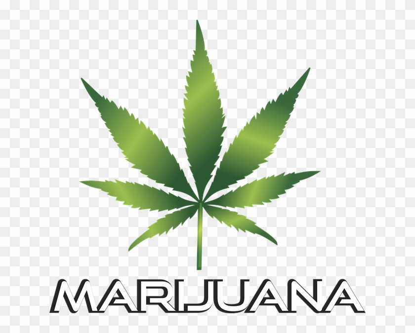More Provisional Medical Pot Licenses Approved By Bay - Marijuana Leaf Clip Art Transparent #1210645