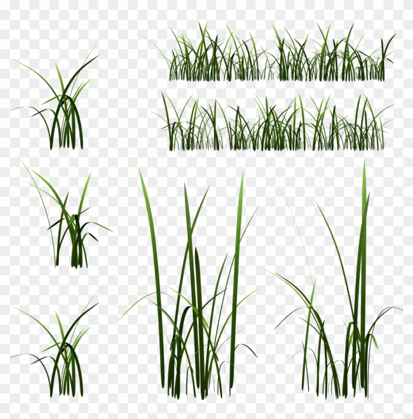 Texture Mapping Unreal Engine 4 Grasses Zbrush Low - Grass Texture Side #1210670