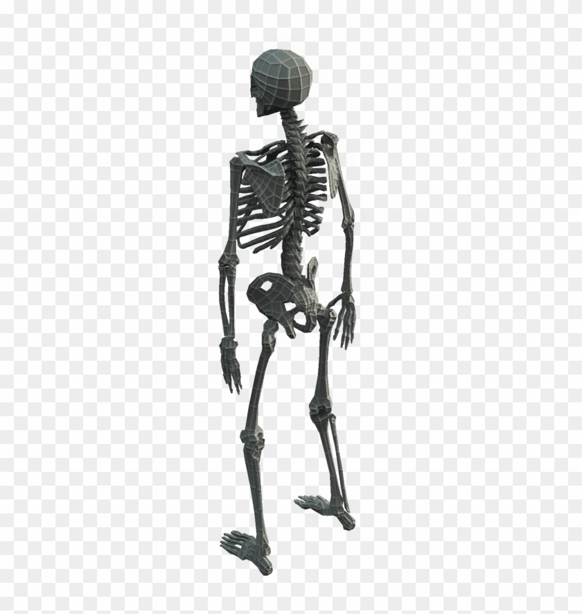 Base Mesh Skeleton - Low Poly #1210675