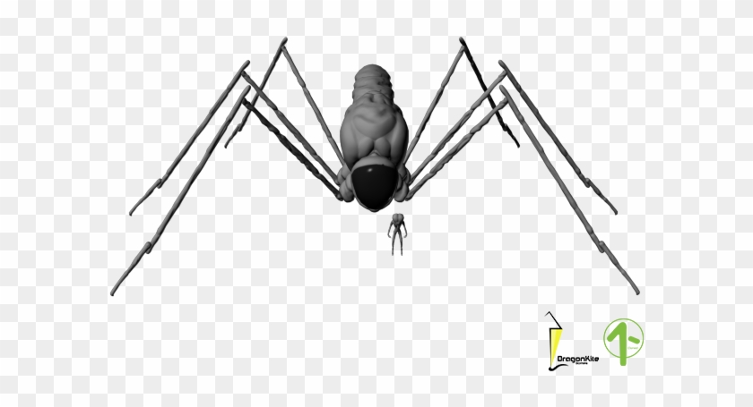 All Legs - Oecanthidae #1210704