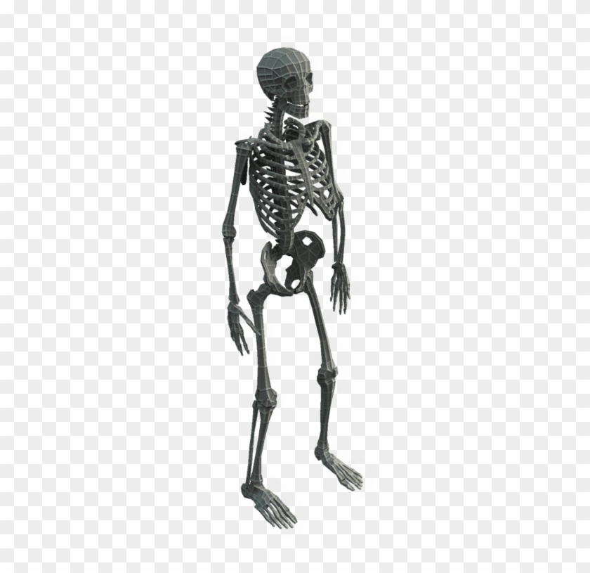 Base Mesh Skeleton - 3d Skeleton Png #1210714