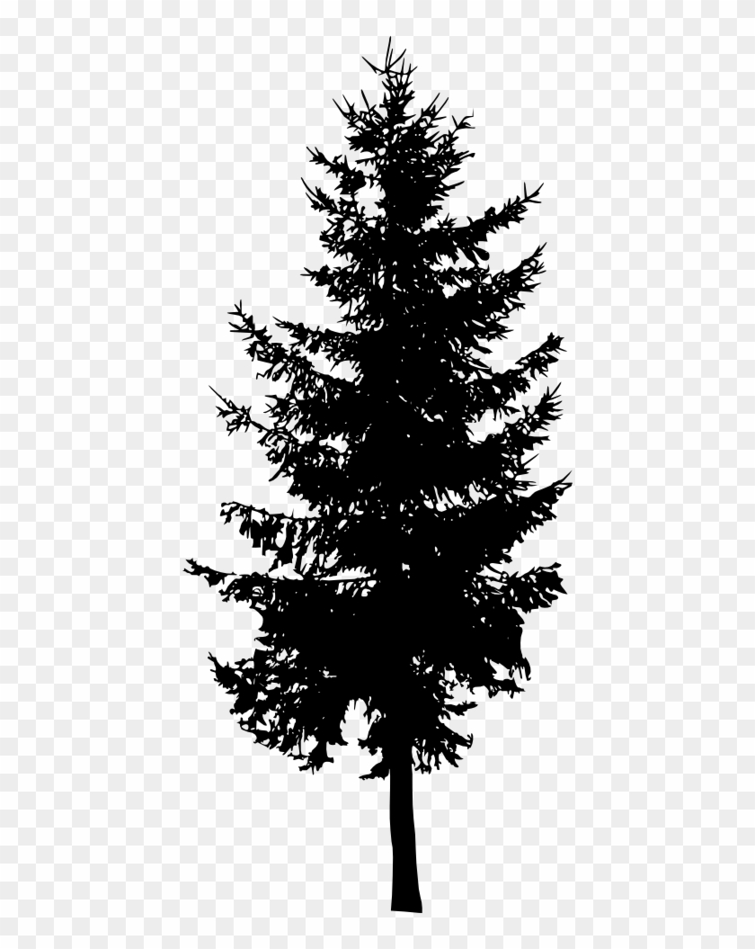 Free Download Pine Tree Silhouette Png Free Transparent Png Clipart Images Download