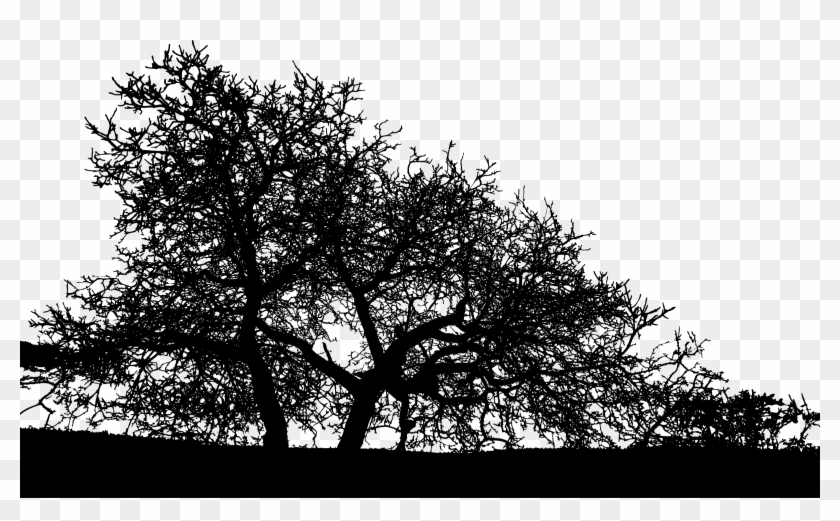 Big Image - Silhouette Tree Png Landscape #1210876