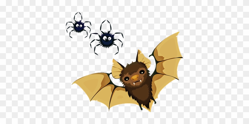 Sorting Animals That Live On Land, Air, And Water {montessori - Vampire Bat Clipart #1210883