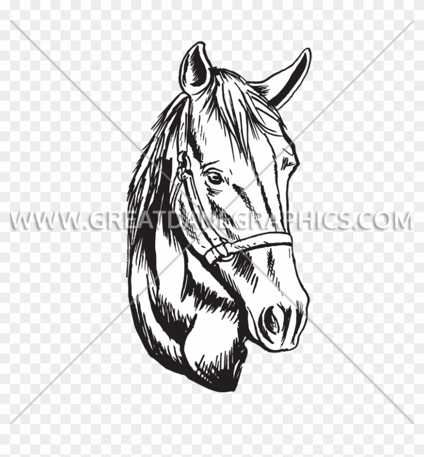 Horse #1210916