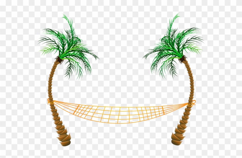 Date Palm Clipart Hawaii Palm Trees - Palm Tree Hammock Transparent #1210922