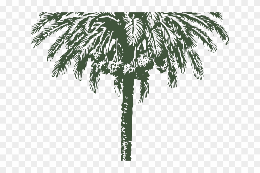 Date Palm Clipart Big - Date Palm Clip Art #1210943