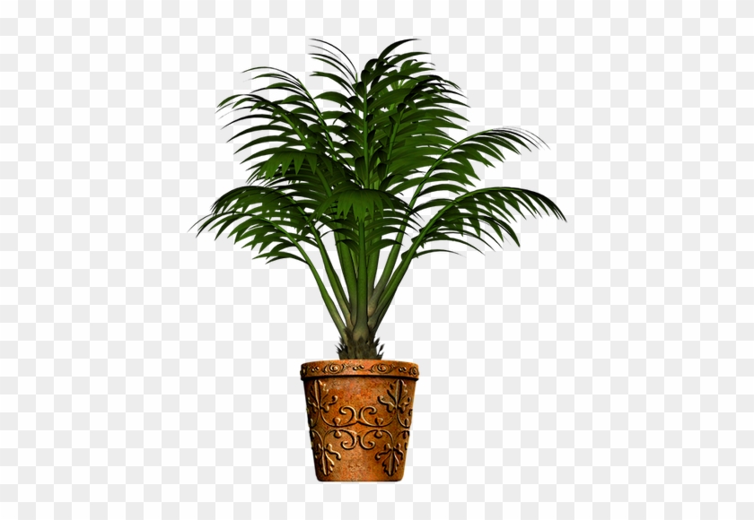 P - Palm Plant Pot Png #1210945