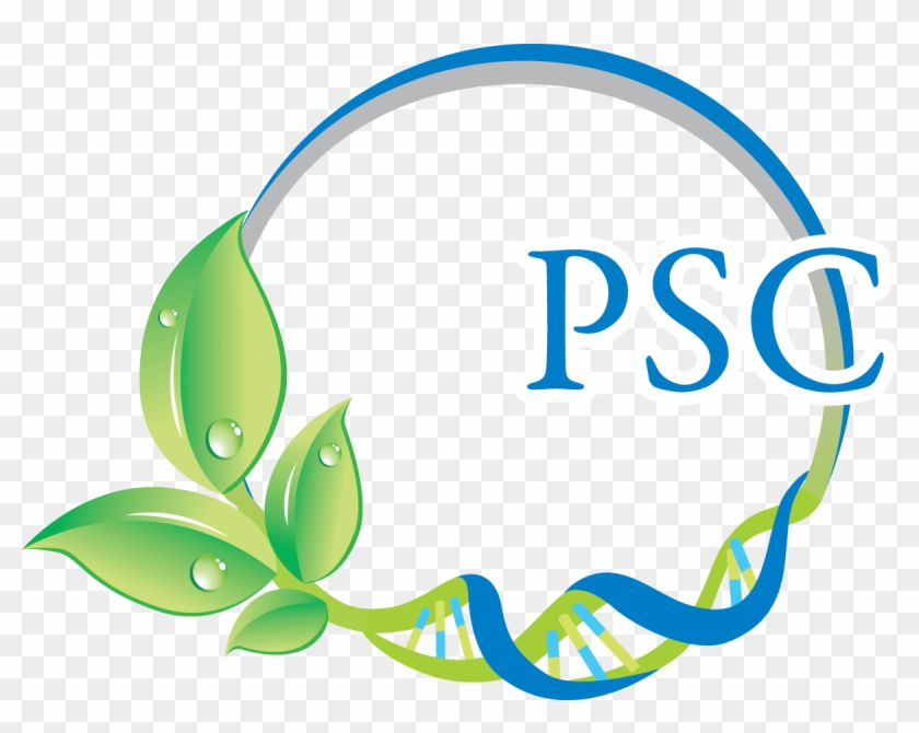 Psc Logo Download - Psc Logo Download - Full Size PNG Clipart Images