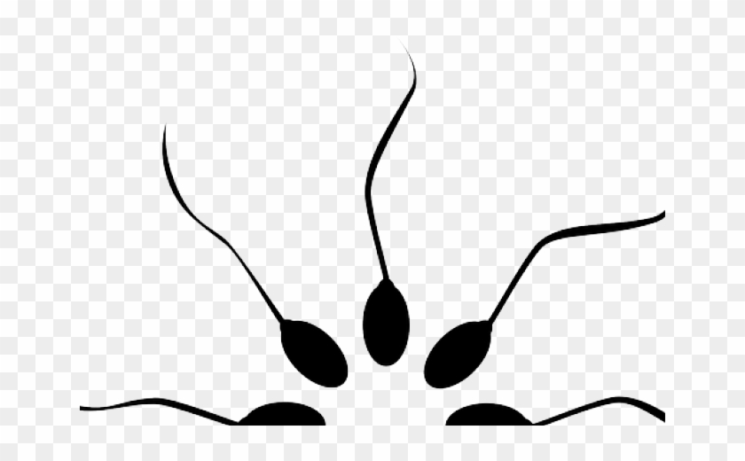 Stress May Significantly Lower Fertility In Males - Stress May Significantly Lower Fertility In Males #1211016