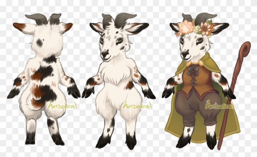 Woodland Witch Pygmy Goat By Herboreal - Herd #1211288