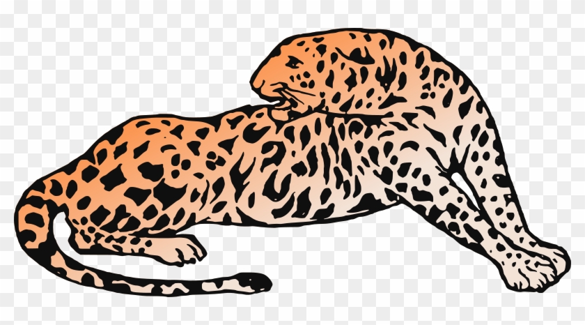 Medium Image - Medium Image #1211345