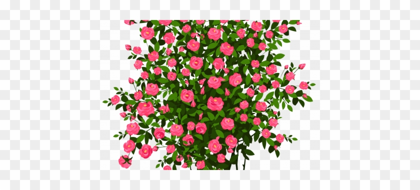 Rose Bush Clipart Transparent - Rose #1211768